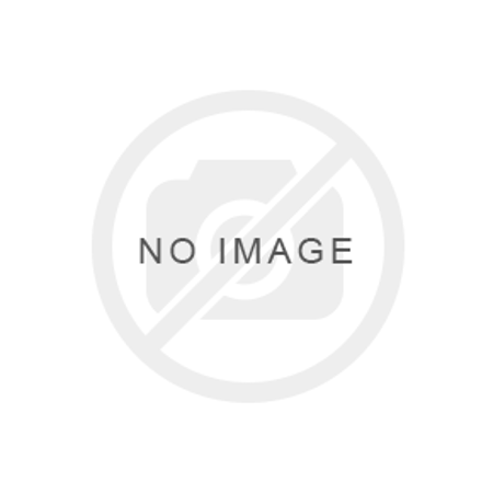 Picture for category Auto Frame Repair